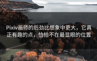 Pixiv画师的后劲比想象中更大，它真正有趣的点，恰恰不在最显眼的位置