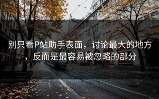 别只看P站助手表面，讨论最大的地方，反而是最容易被忽略的部分