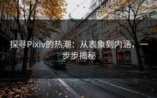 探寻Pixiv的热潮：从表象到内涵，一步步揭秘