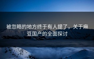 被忽略的地方终于有人提了，关于麻豆国产的全面探讨