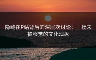 隐藏在P站背后的深层次讨论：一场未被察觉的文化现象