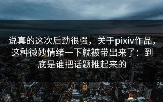 说真的这次后劲很强，关于pixiv作品，这种微妙情绪一下就被带出来了：到底是谁把话题推起来的