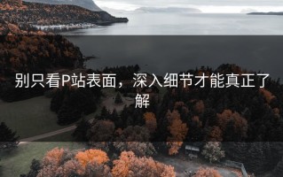 别只看P站表面，深入细节才能真正了解