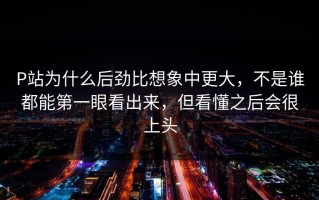 P站为什么后劲比想象中更大，不是谁都能第一眼看出来，但看懂之后会很上头