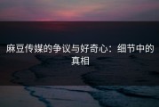 麻豆传媒的争议与好奇心：细节中的真相
