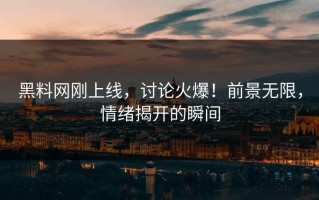 黑料网刚上线，讨论火爆！前景无限，情绪揭开的瞬间