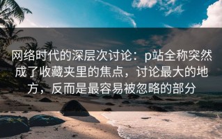 网络时代的深层次讨论：p站全称突然成了收藏夹里的焦点，讨论最大的地方，反而是最容易被忽略的部分