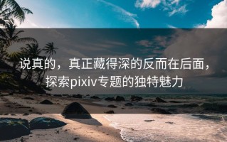 说真的，真正藏得深的反而在后面，探索pixiv专题的独特魅力