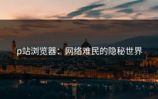 p站浏览器：网络难民的隐秘世界