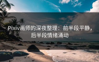 Pixiv画师的深夜整理：前半段平静，后半段情绪涌动