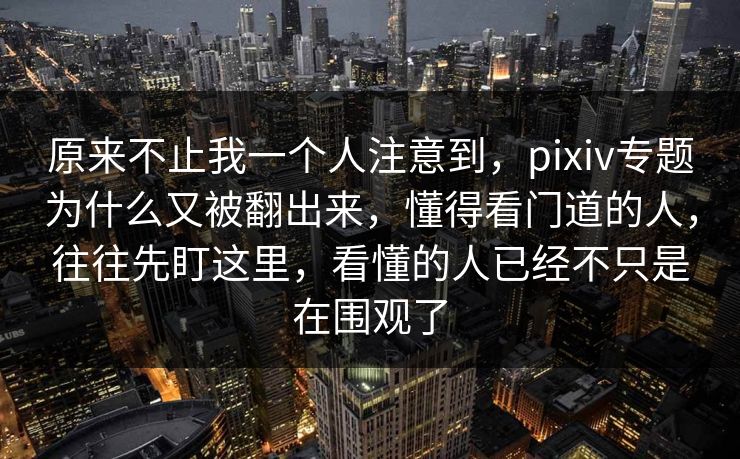 原来不止我一个人注意到，pixiv专题为什么又被翻出来，懂得看门道的人，往往先盯这里，看懂的人已经不只是在围观了-第1张图片-p站影视站 | p站镜像热门视频