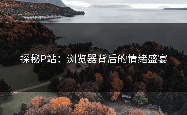 探秘P站：浏览器背后的情绪盛宴-第1张图片-p站影视站 | p站镜像热门视频