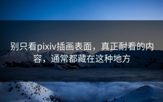 别只看pixiv插画表面，真正耐看的内容，通常都藏在这种地方