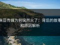 麻豆传媒为何突然火了：背后的故事和原因解析