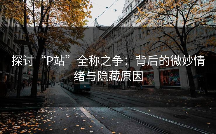 探讨“P站”全称之争：背后的微妙情绪与隐藏原因-第1张图片-p站影视站 | p站镜像热门视频
